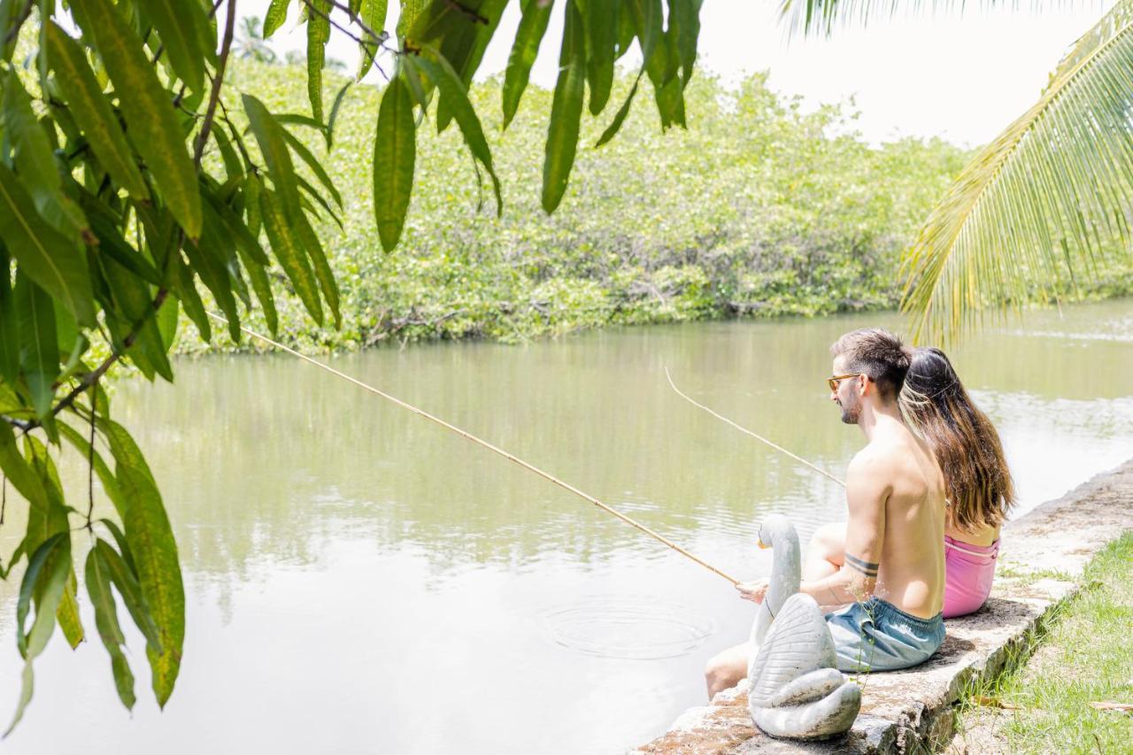 Eco Pousada Paraiso Dos Coqueirais Japaratinga Exterior foto