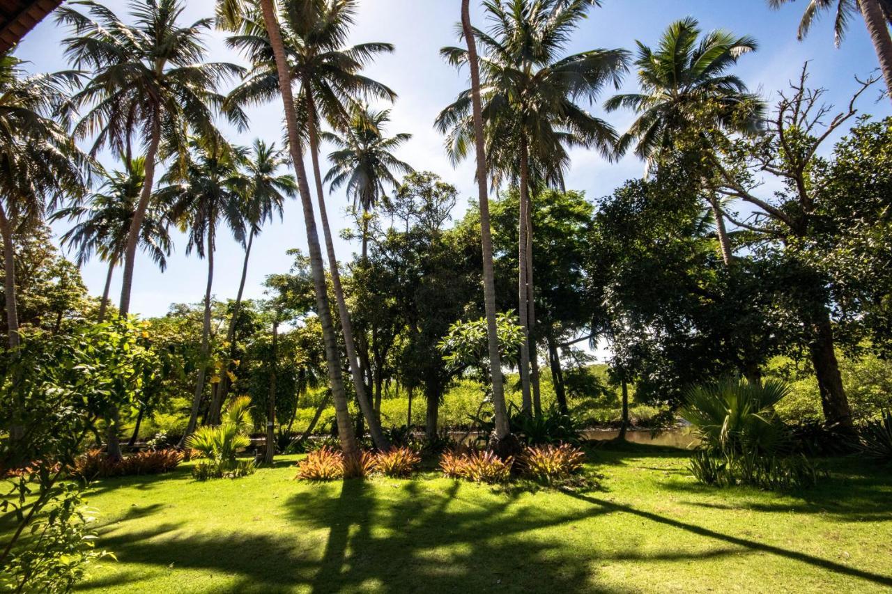 Eco Pousada Paraiso Dos Coqueirais Japaratinga Exterior foto